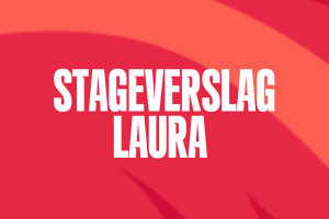 Stageverslag Laura (14)